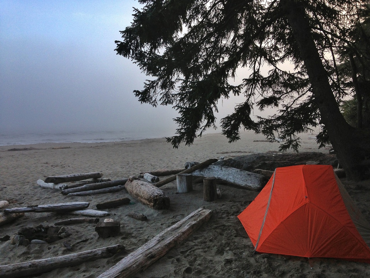 an orange tent, a tree, and scattered logs on a beach by the water
