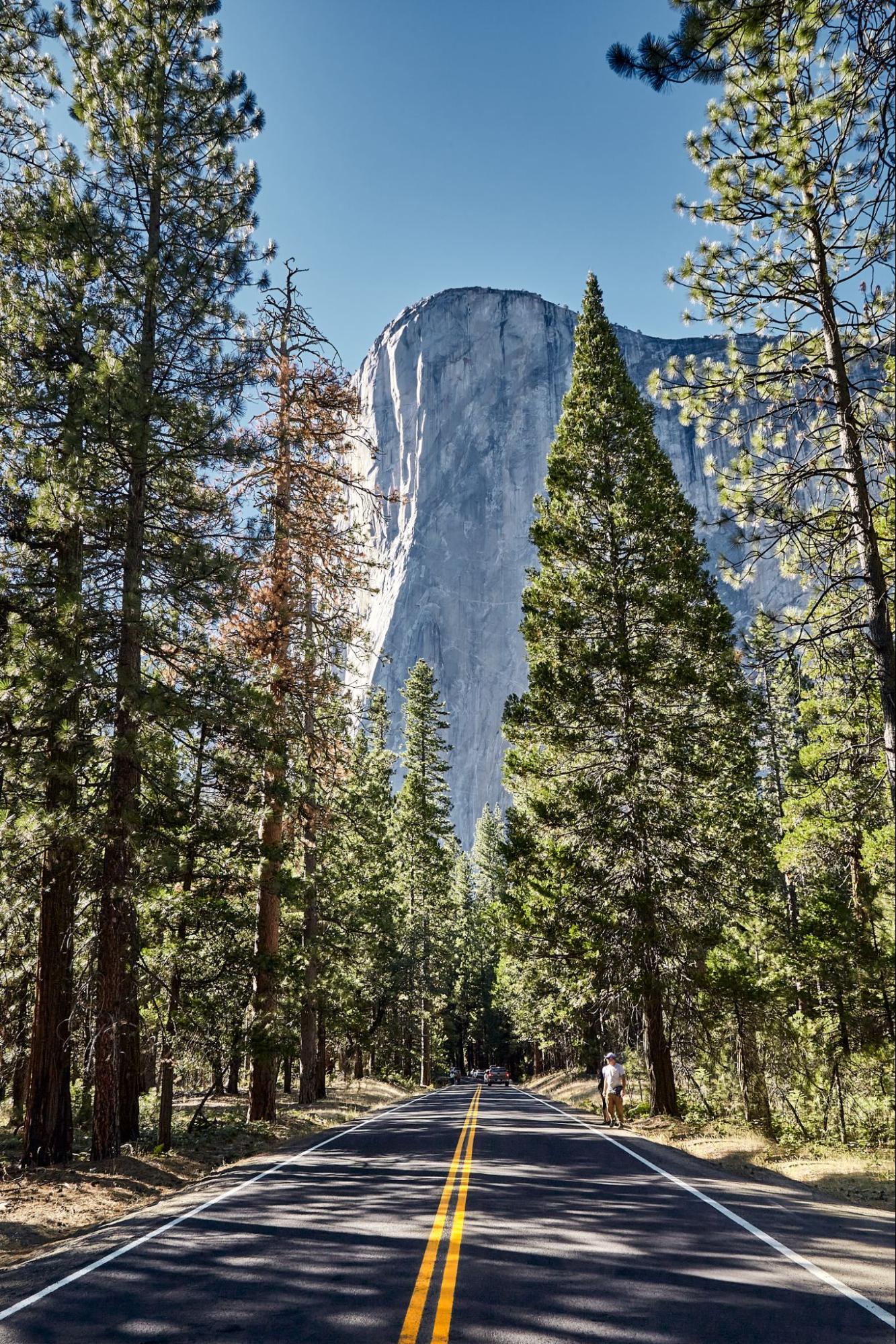 Yosemite National Park in California, USA