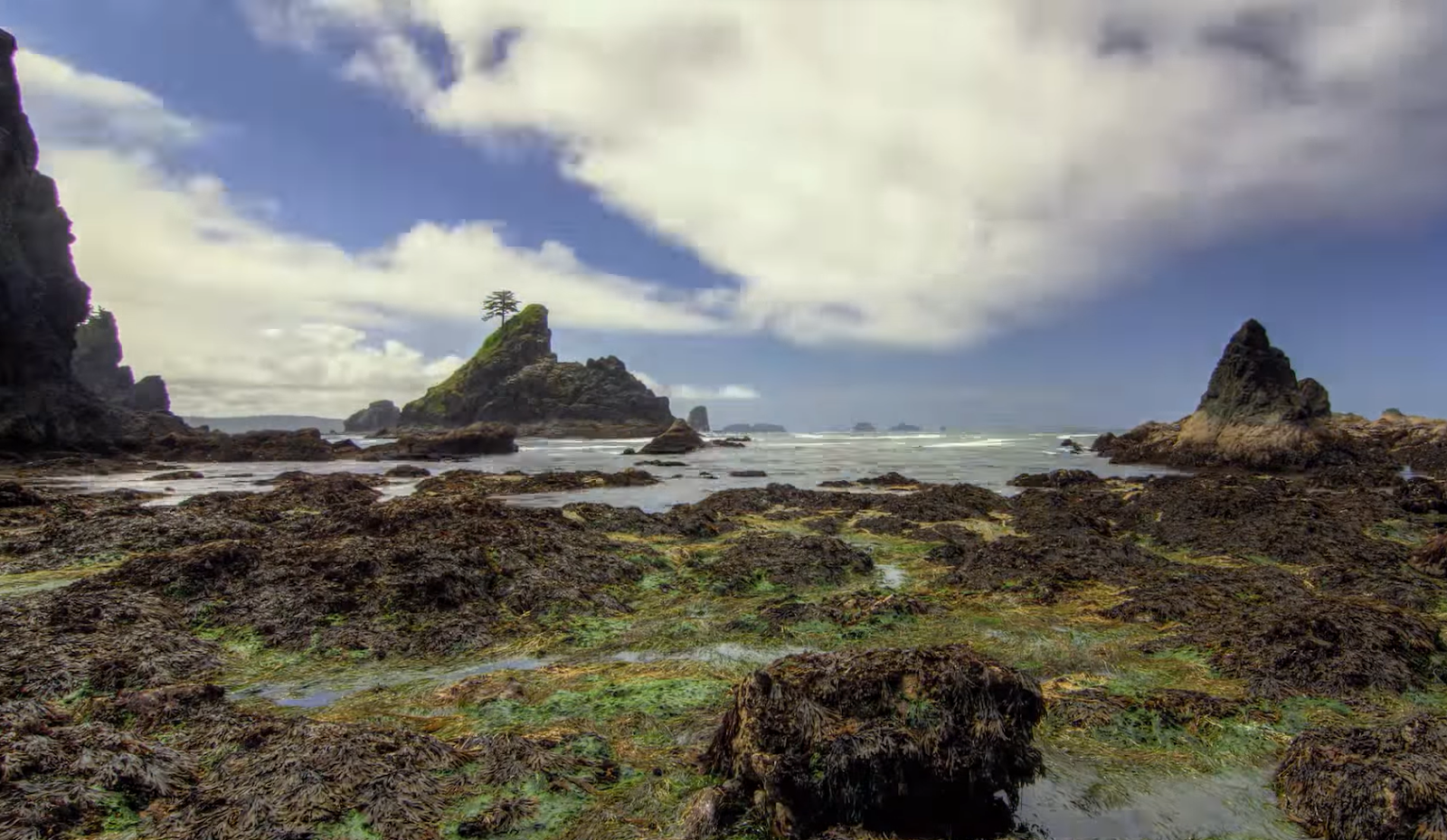 olympic peninsula with rocks and ocean near it, cloudy sky above