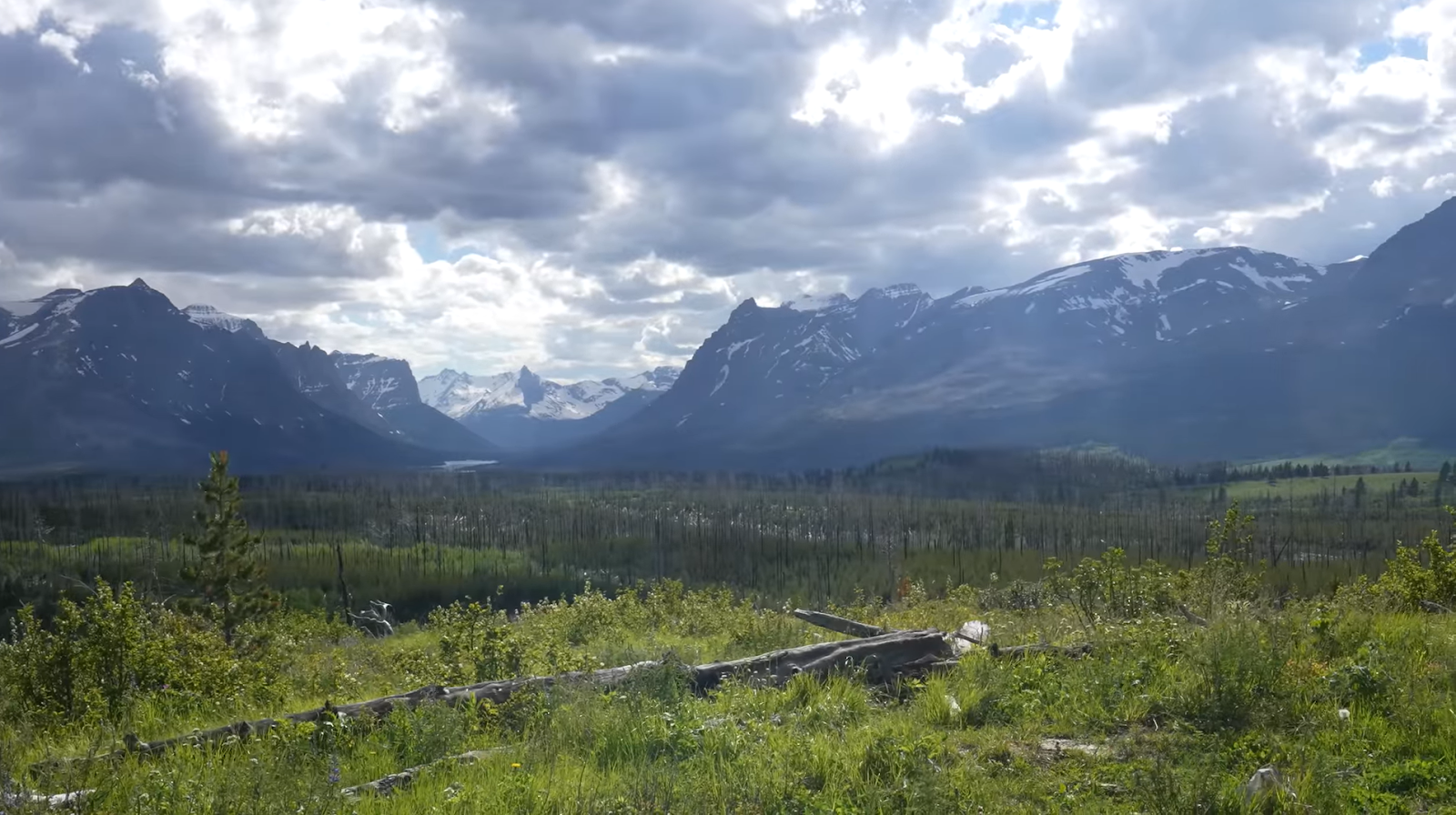 the land with trees and bushes, mountains with ice, and a cloudy sky above