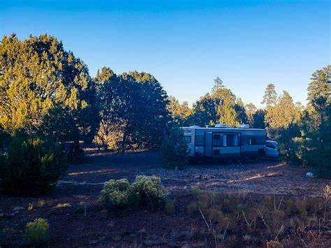 Forest road on which the motor home is located