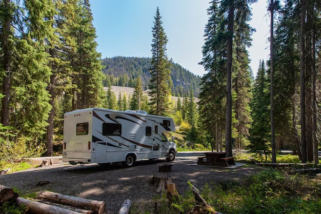 Van standing in the forest